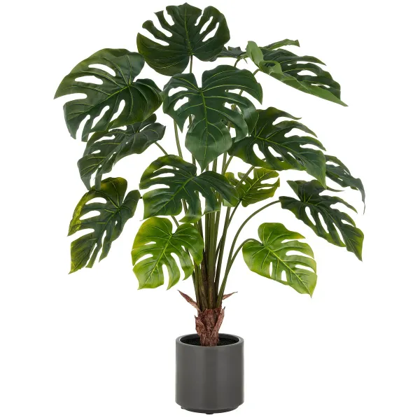 GASPER Split Philodendron, 100 cm, grün, im grauen Kunststofftopf 17,5x18cm mit Erde