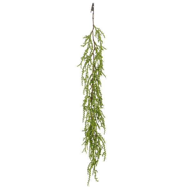 GASPER Sukkulenten Ranke Grün mit Krokodilklemme 57 cm - Kunstpflanzen