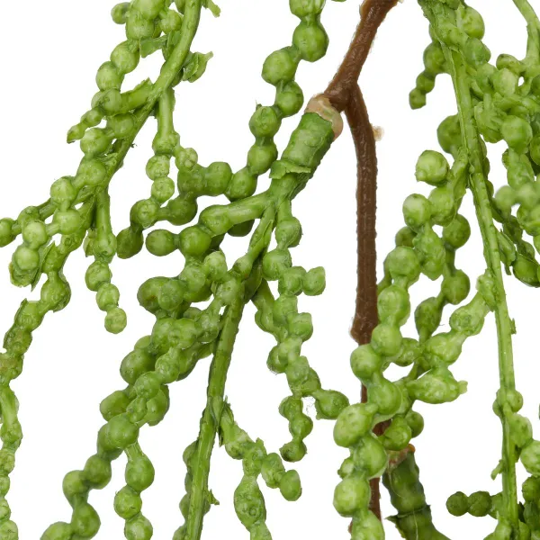 GASPER Sukkulenten Ranke Grün mit Krokodilklemme 57 cm - Kunstpflanzen