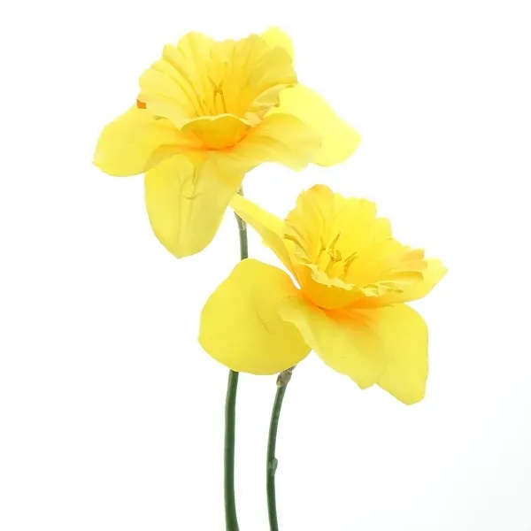 GASPER Trompeten-Narzissen - Osterglocken Gelb 2 Blüten 55 cm - Kunstblumen GASPER Trompeten-Narzissen - Osterglocken Gelb 2 Blüten 55 cm - Kunstblumen