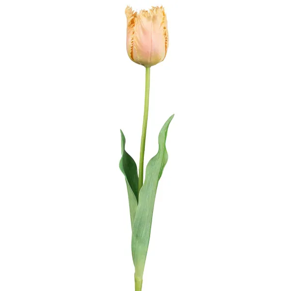 GASPER Tulpe, apricot, 67 cm - Kunstblume