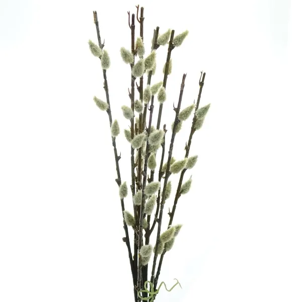 GASPER Weidenkätzchenbund 41 cm - Kunstblumen GASPER Weidenkätzchenbund 41 cm - Kunstblumen