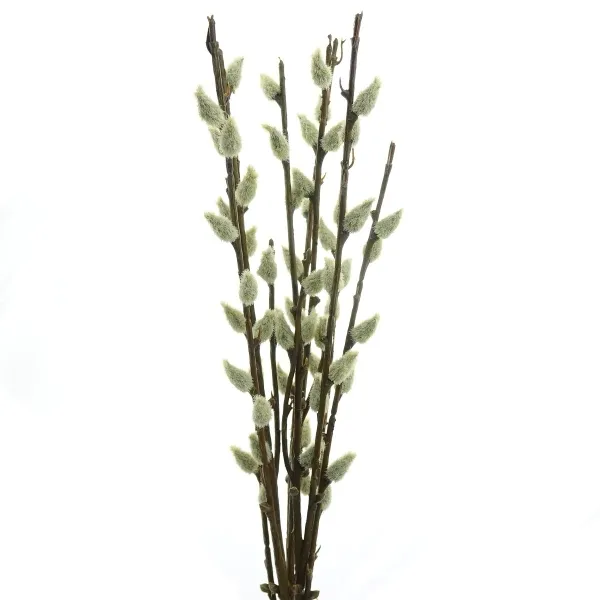 GASPER Weidenkätzchenbund 41 cm - Kunstblumen