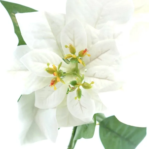GASPER Weihnachtsstern - Poinsettie Weiß mit 2 Brakteen 32 cm - Kunstblumen