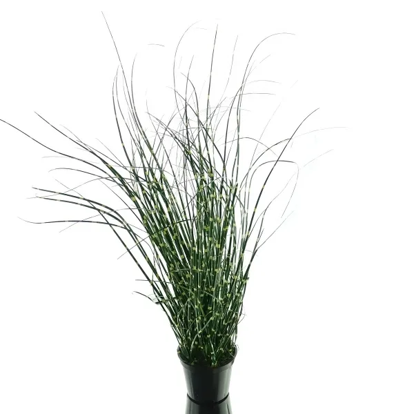 GASPER Zebragras - Miscanthus im Topf 42 cm - Kunstblumen GASPER Zebragras - Miscanthus im Topf 42 cm - Kunstblumen