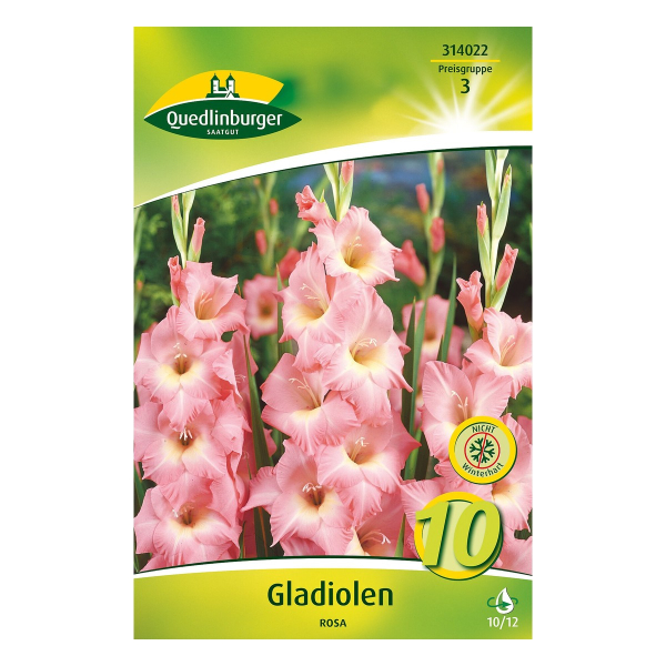 Gladiolen Rosa