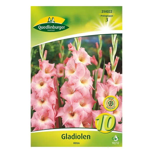 Gladiolen Rosa