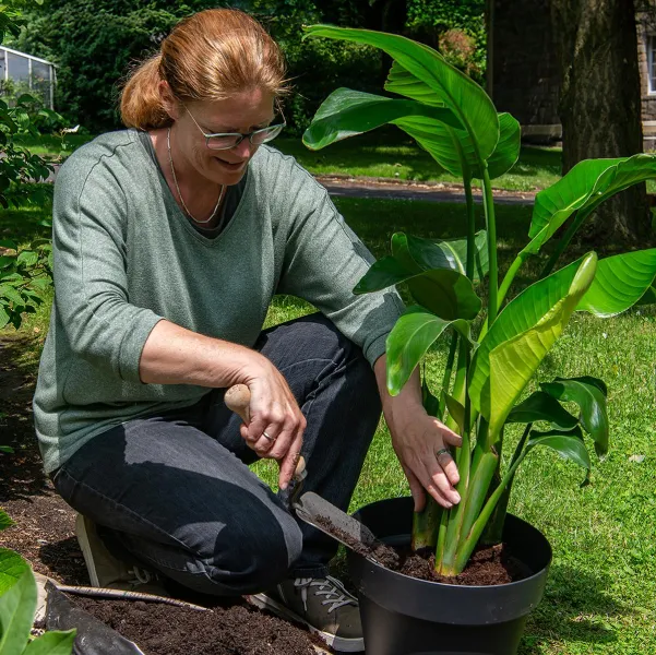 IDEAL-Blumenkelle mit 15,5 cm Buchenstiel - Hochwertiger Vergütungsstahl