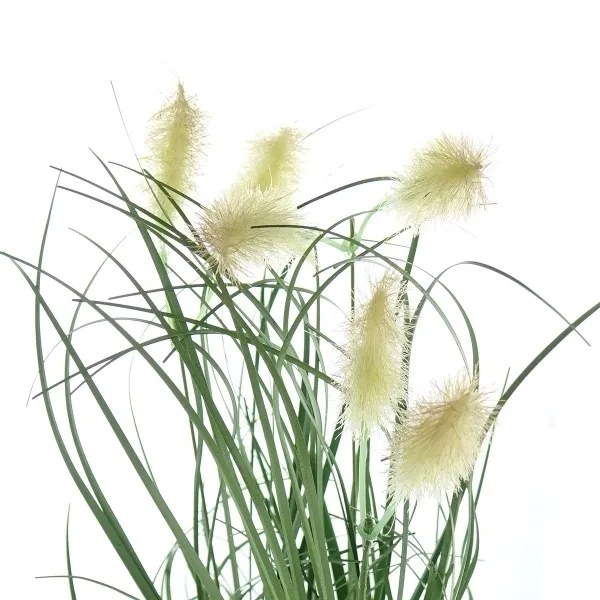 Kaemingk Federborstengras im schwarzen Topf 30 cm - Kunstpflanzen