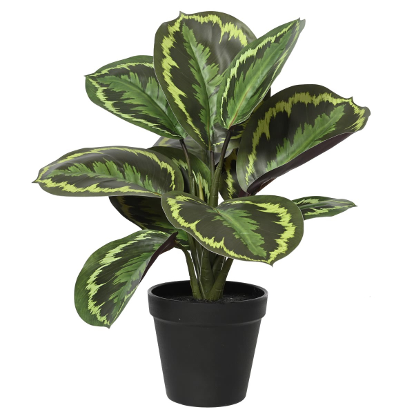 EVERLANDS Korbmaranthe Grün im schwarzen Topf Ø 26 cm 35 cm - Kunstpflanzen