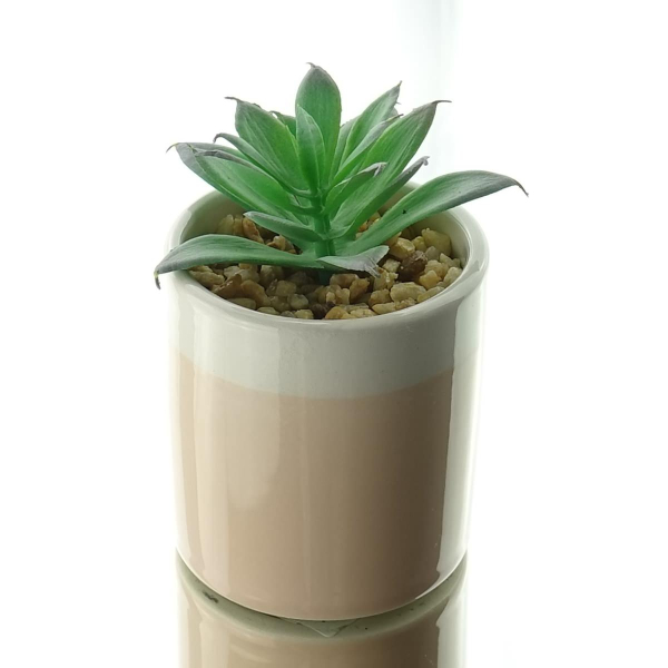 Kaemingk Mini-Sukkulente im beigen Steingut-Topf Höhe 10 cm - Kunstpflanzen