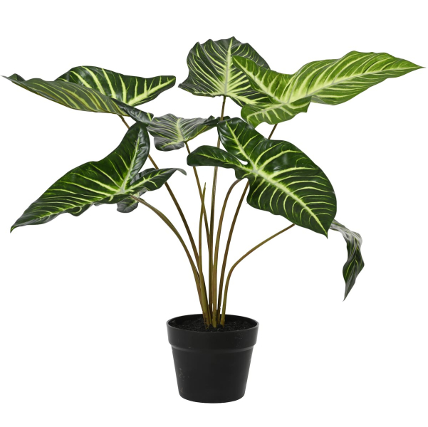 Kaemingk Pfeilblatt im schwarzen Topf Ø 55 cm Höhe 56 cm - Kunstpflanzen