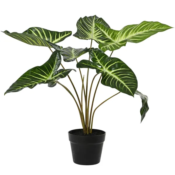 Kaemingk Pfeilblatt im schwarzen Topf Ø 55 cm Höhe 56 cm - Kunstpflanzen