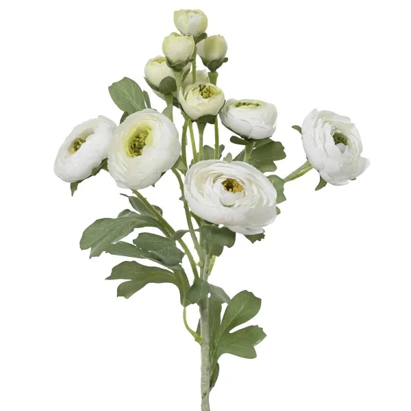 EVERLANDS Ranunkeln Weiß 6 Blüten & 6 Knospen 55 cm - Kunstblumen EVERLANDS Ranunkeln Weiß 6 Blüten & 6 Knospen 55 cm - Kunstblumen