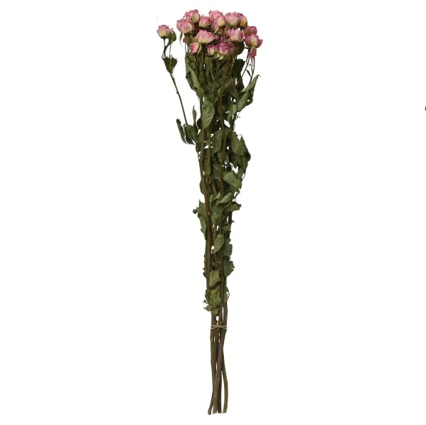 Kaemingk Trockenblumenbund Rose Rosa mehrblütig Ø 14 cm 55 cm - Bund