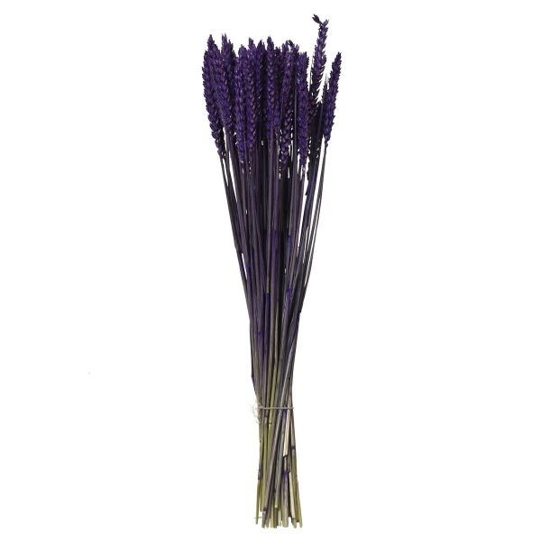 Kaemingk Trockenblumenbund Weizen Violett Ø 14 cm 55 cm - Bund