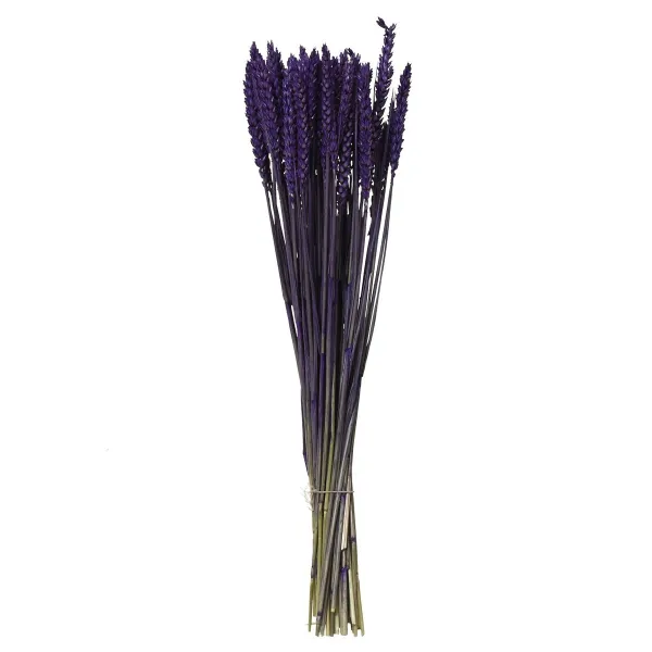 Kaemingk Trockenblumenbund Weizen Violett Ø 14 cm 55 cm - Bund