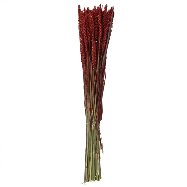 Kaemingk Trockenblumenbund Weizen Rot Ø 14 cm 55 cm - Bund