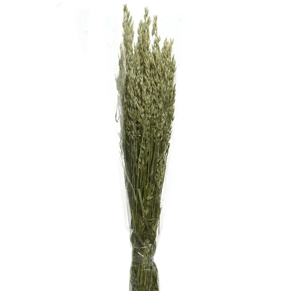 Kaemingk Trockenblumen Getreidebündel Hafer Grün 75 cm Kaemingk Trockenblumen Getreidebündel Hafer Grün 75 cm