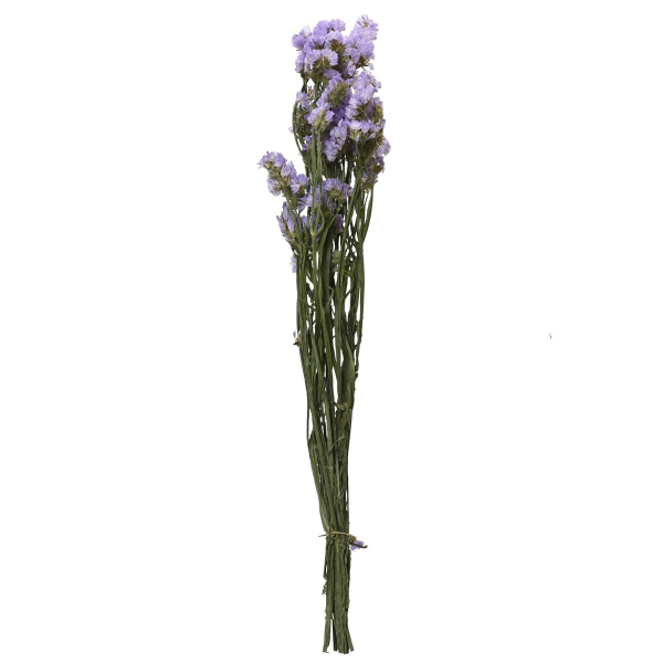 Kaemingk Trockenblumenbund Statice-Limmonium Hellblau Ø 14 cm 55 cm - Bund