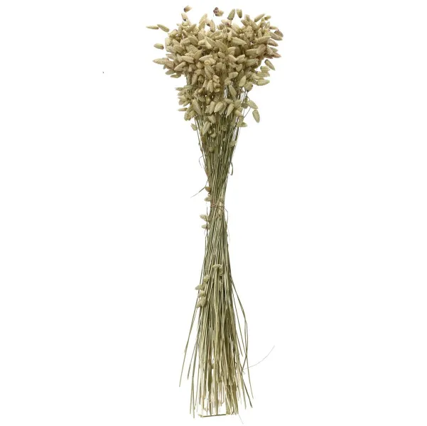 Kaemingk Trockenblumenbund Zittergras-Briza Ø 14 cm 55 cm - Bund Kaemingk Trockenblumenbund Zittergras-Briza Ø 14 cm 55 cm - Bund