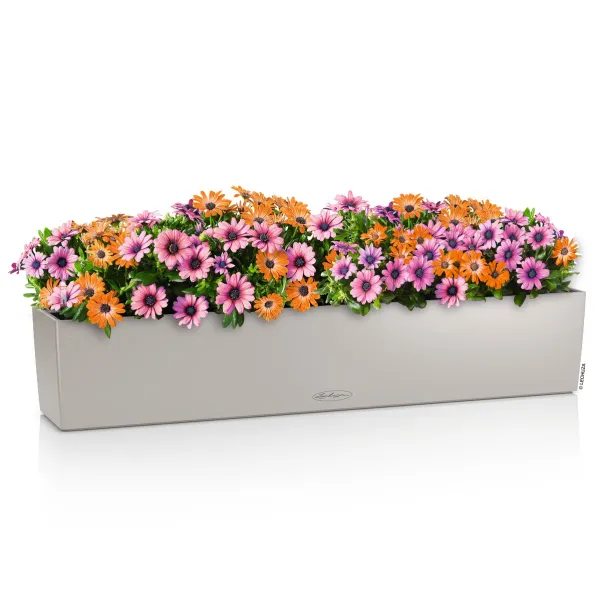 LECHUZA® Blumenkasten BALCONERA Color 100 Sandbraun All-in-One