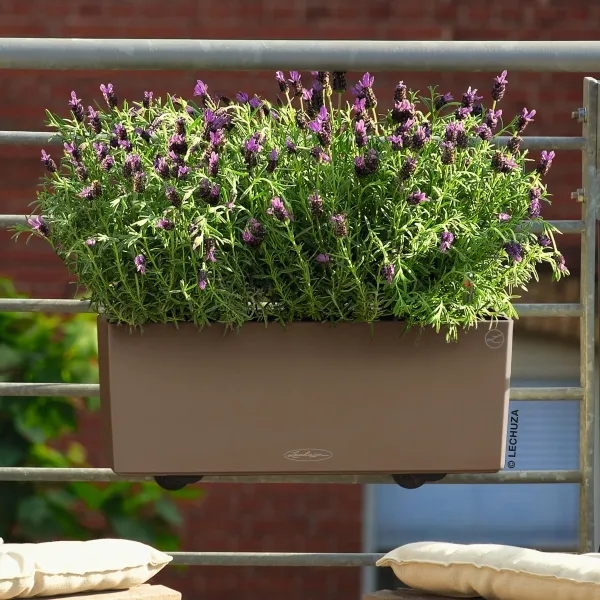 LECHUZA® Blumenkasten BALCONERA Color 50 Muskat All-in-One