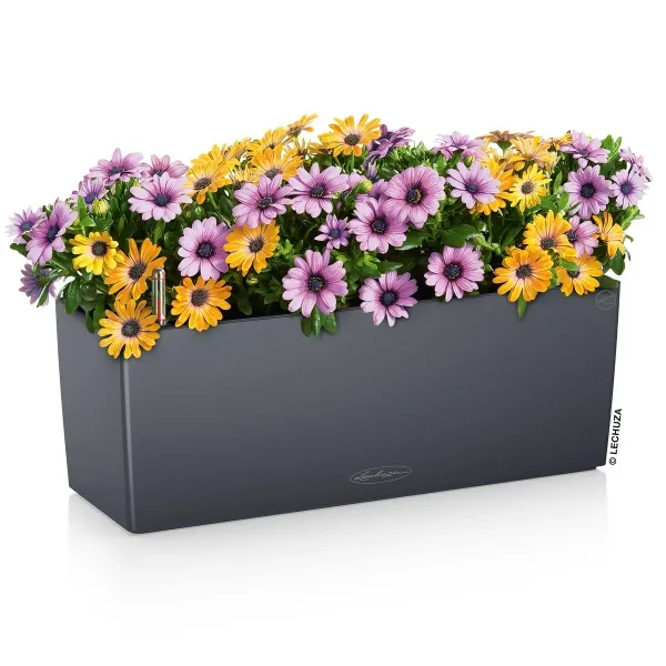 LECHUZA® Blumenkasten BALCONERA Color 50 Schiefergrau All-in-One