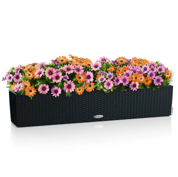 LECHUZA® Blumenkasten BALCONERA Cottage 100 Graphitschwarz All-in-One