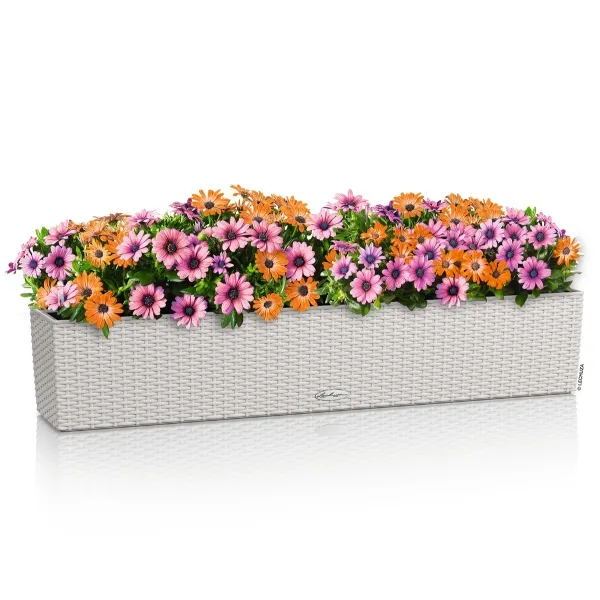 LECHUZA® Blumenkasten BALCONERA Cottage 100 Lichtgrau All-in-One