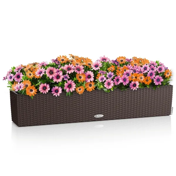 LECHUZA® Blumenkasten BALCONERA Cottage 100 Mokka All-in-One