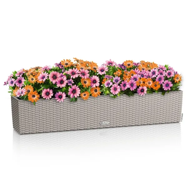 LECHUZA® Blumenkasten BALCONERA Cottage 100 Sandbraun All-in-One