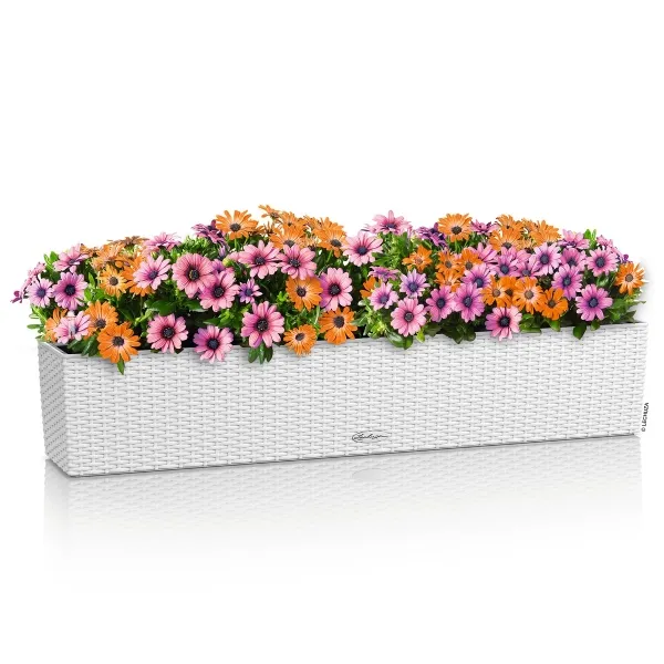 LECHUZA® Blumenkasten BALCONERA Cottage 100 Weiß All-in-One