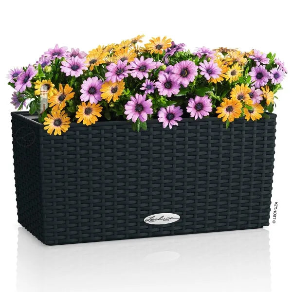 LECHUZA® Blumenkasten BALCONERA Cottage 40 Graphitschwarz All-in-One
