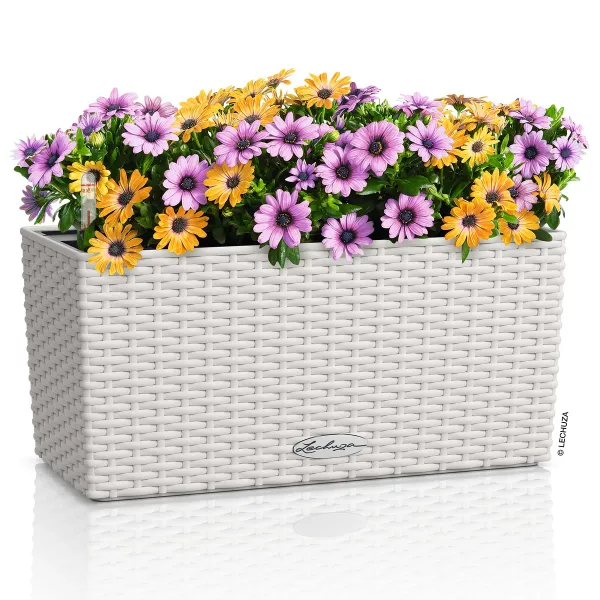LECHUZA® Blumenkasten BALCONERA Cottage 40 Lichtgrau All-in-One