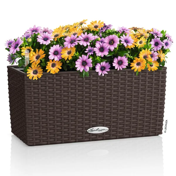 LECHUZA® Blumenkasten BALCONERA Cottage 40 Mokka All-in-One