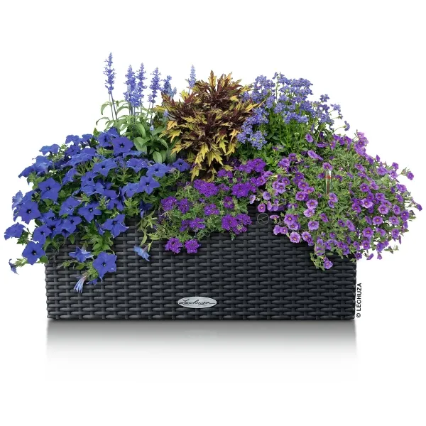 LECHUZA® Blumenkasten BALCONERA Cottage 50 Granit All-in-One