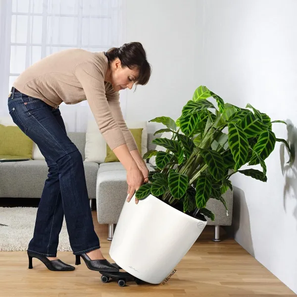 LECHUZA® Zubehör Rolluntersetzer für CLASSICO 50 | QUADRO 50 | CANTO 40 | CUBE 40 | CURSIVO 40
