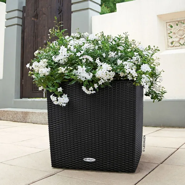 LECHUZA® CUBE Cottage 50 cm Komplettset, Graphitschwarz LECHUZA® CUBE Cottage 50 cm Komplettset, Graphitschwarz