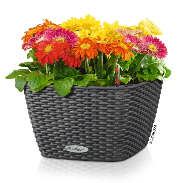 LECHUZA® Pflanzgefäße BACINO Cottage 30 Granit All-in-One