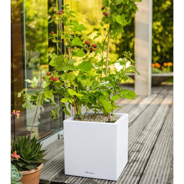 LECHUZA® Pflanzgefäße CANTO Stone 30 Low Quarzweiß All-in-One