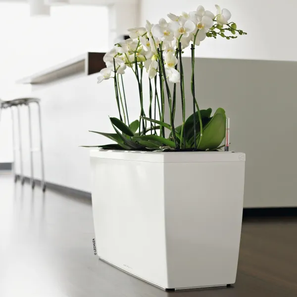 LECHUZA® Pflanzgefäße CARARO Weiß hochglänzend All-in-One