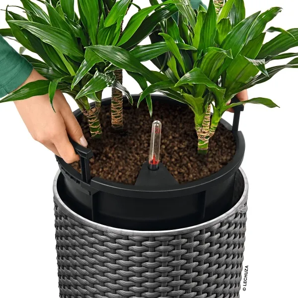 LECHUZA® Pflanzgefäße CILINDRO Cottage 32 Granit All-in-One Set