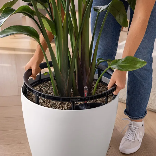 LECHUZA® Pflanzgefäße CLASSICO Color LS 35 Weiß seidenmatt All-in-One