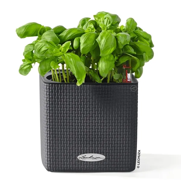 LECHUZA® Pflanzgefäße CUBE Color 14 Schiefergrau mit Dochtsystem