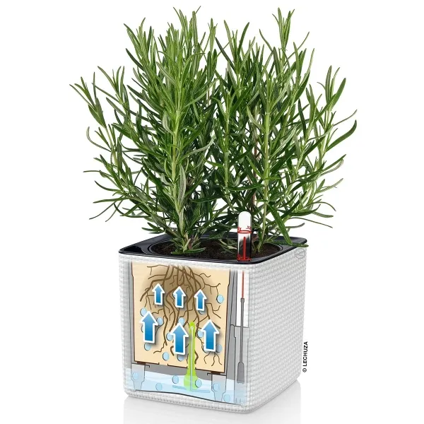 LECHUZA® Pflanzgefäße CUBE Color 14 Weiß mit Dochtsystem