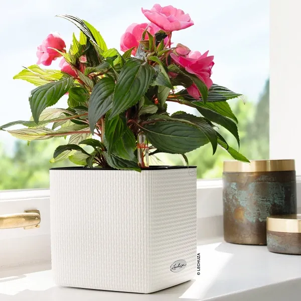 LECHUZA® Pflanzgefäße CUBE Color 16 Weiß mit Dochtsystem