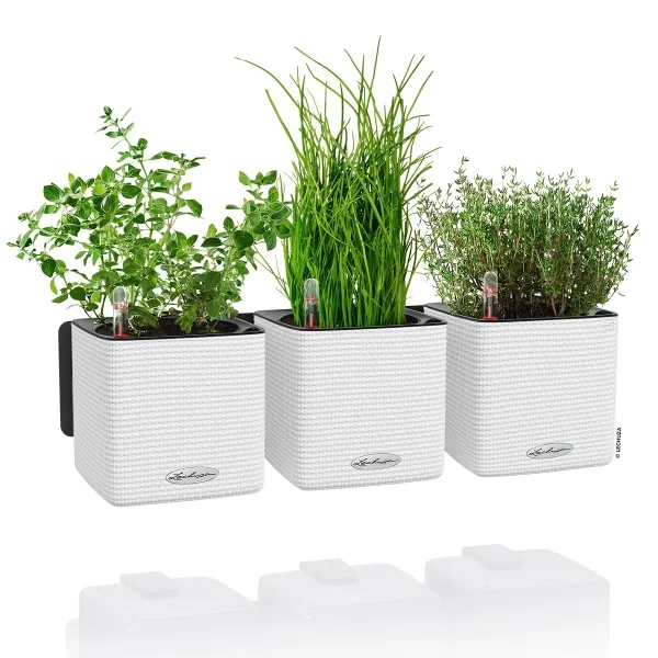 LECHUZA® Pflanzgefäße CUBE Color Green Wall Home Kit Weiß seidenmatt