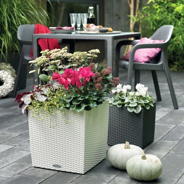 LECHUZA® Pflanzgefäße CUBE Cottage 30 Granit All-in-One