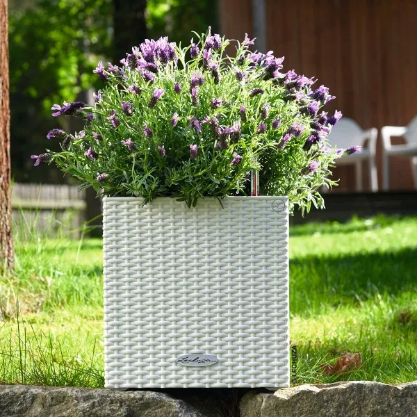 LECHUZA® Pflanzgefäße CUBE Cottage 30 Weiß All-in-One